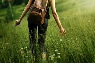 Journey through weeds and wheat