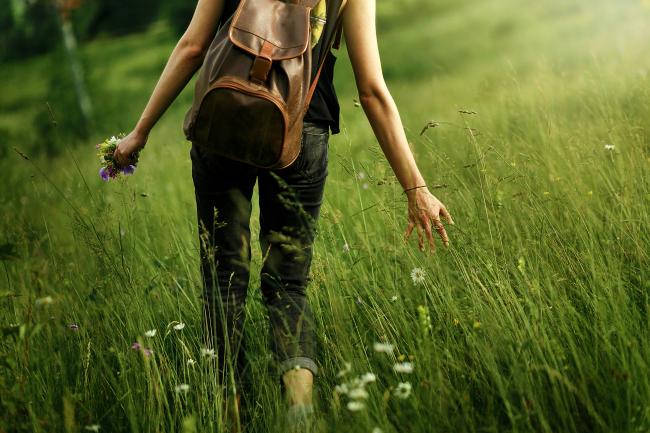 Journey through weeds and wheat Journey through weeds and wheat